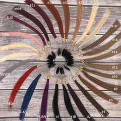 Highlighted Single Bundles